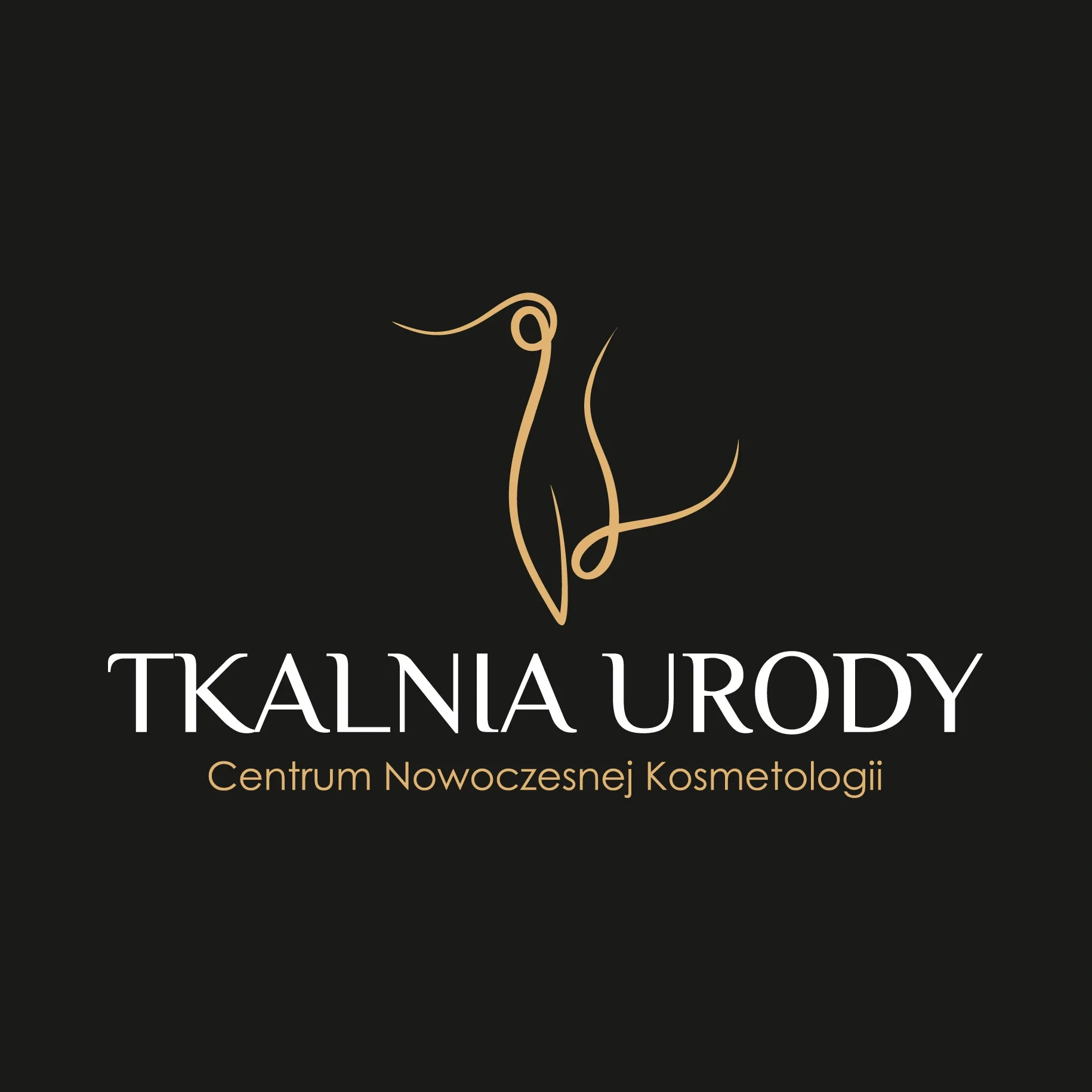 tworca stron internetowych opinia